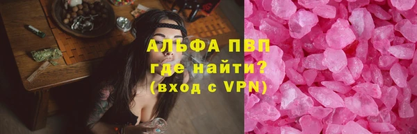 прущие грибы Чердынь