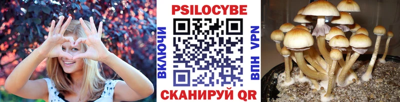 Галлюциногенные грибы мицелий  Купить где  Беслан 